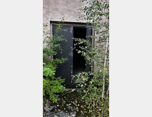 Eine alte, beschädigte Metalltür steht offen und führt in einen dunklen Innenraum. Die Umgebung ist überwuchert mit Pflanzen und Moos, die sich an der Betonwand und dem Boden ausbreiten.