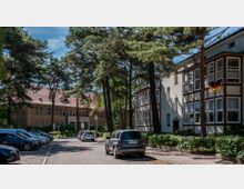 Straßenansicht in einer bewaldeten Umgebung mit einem historischen Schulgebäude im Hintergrund und einem Wohngebäude mit Fachwerkelementen rechts. Geparkte Autos stehen entlang der Straße, die von hohen Kiefern gesäumt ist.