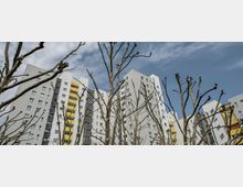 Mehrstöckige Wohngebäude mit weißen Fassaden und gelben Balkonelementen, umgeben von blattlosen, beschnittenen Baumästen vor einem teils bewölkten blauen Himmel.