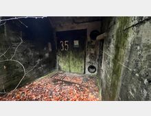 Eingang zu einem alten, verwitterten Betonbunker mit einer grünen Metalltür, die die Nummer 35 trägt. Der Boden ist mit Laub bedeckt, und die Wände sind von Moos und Feuchtigkeit durchzogen.