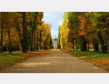 Langer Weg in einem Park, gesäumt von hohen, herbstlich gefärbten Bäumen, die in warmen Gelb- und Orangetönen leuchten, mit einem barocken Gebäude mit Kuppel am Ende der Allee. Der Boden ist mit gefallenen Blättern bedeckt, und der Park wirkt weitläufig und ruhig.