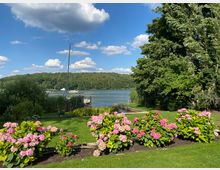 Garten mit gepflegtem Rasen, rosa blühenden Hortensienbüschen im Vordergrund, Blick auf einen See mit Bootssteg und Segelboot sowie einen bewaldeten Uferbereich im Hintergrund, unter einem blauen Himmel mit einigen Wolken.
