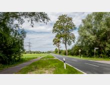 Ländliche Straße mit angrenzendem Radweg, umgeben von grünen Wiesen und Bäumen. Im Hintergrund ragt ein Strommast hervor, und die Szenerie erstreckt sich unter einem bewölkten Himmel.