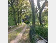 Ein schmaler, unbefestigter Weg, der von großen Bäumen mit Efeu bewachsen flankiert wird, führt zu einem Fachwerkhaus im Hintergrund. Rechts des Weges steht ein Fahrrad an einem Metallzaun, umgeben von grüner Vegetation.