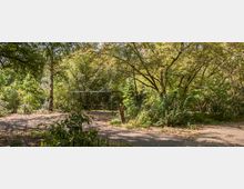 Ein parkähnlicher Bereich mit dichtem Baumbestand und üppigem Grün, durch den ein gepflasterter Weg und ein asphaltierter Pfad führen. Im Hintergrund steht eine einfache Metallbank, teilweise vom Gebüsch umgeben.