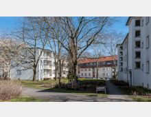 Mehrfamilienhäuser in einer Wohnanlage mit weiß verputzten Fassaden, umgeben von Bäumen und Grünflächen. Im Vordergrund ein Gehweg, ein Baum mit abgestellten Fahrrädern sowie ein Straßenschild mit der Aufschrift „Suttnerstraße 9 + 11“.