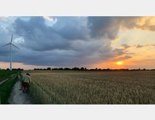 Weites Feld mit reifendem Getreide bei Sonnenuntergang, links ein großer Windradgenerator und ein schmaler Feldweg. Eine Person geht gebeugt am Weg entlang, der am Feldrand verläuft, während der Himmel teils bewölkt ist.