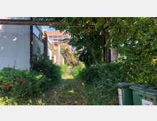 Ein überwucherter Pfad zwischen Gebäuden mit hellen Fassaden, umgeben von dichtem Grün und hohen Bäumen. Im Vordergrund stehen grüne Mülltonnen, im Hintergrund ist ein modernes Backsteingebäude sichtbar.