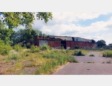 Verlassene Industriehalle mit rostigen Metallwänden und teilweise zerstörten Fenstern, umgeben von überwuchertem Gras und Bäumen unter einem bewölkten Himmel. Der Asphalt im Vordergrund ist von Vegetation durchbrochen.