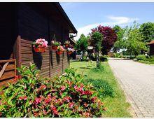 Dunkles Holzgebäude mit hängenden Blumenkästen voller bunter Blumen; im Vordergrund blühende Sträucher, daneben ein gepflasterter Weg, der von grünen Rasenflächen, Bäumen und Sträuchern gesäumt ist. Ländliche Umgebung mit sonnigem Himmel.