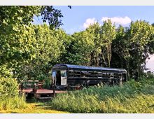 Ein schwarzer umgebauter Bus steht in einer von Bäumen und hohem Gras umgebenen Landschaft. Daneben befindet sich eine kleine Holzterrasse mit Gartenstühlen und einem Tisch.