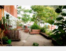 Ein kleiner Innenhof mit Betonboden und Sitzmöglichkeiten aus Holz. Umgeben von Pflanzen in Hochbeeten und Bäumen, grenzt der Hof an ein Backsteingebäude mit weißen Fenstern.