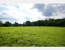 Weite grüne Wiese unter einem bewölkten Himmel, umrahmt von einer Baumreihe am Horizont. Im Hintergrund sind vereinzelte Büsche und ein kleiner See sichtbar.