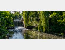 Kleiner Fluss mit einem Wasserfall, umgeben von dichter Vegetation, darunter hängende Äste von Weidenbäumen. Im Hintergrund ist eine Brücke über dem Wasserfall zu sehen.