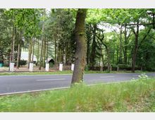 Landstraße mit Asphaltbelag, gesäumt von hohen Bäumen und einem eingezäunten Grundstück mit weißen Pfeilern und einem kleinen Haus im Hintergrund. Die Umgebung ist dicht bewaldet mit grünem Blattwerk.