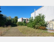 Außenansicht eines verlassenen Gebäudes mit flachen, weißen Wänden und großen Fenstern. Der Hof ist mit Pflastersteinen bedeckt, von denen Gras und Sträucher durchwachsen, während die Umgebung von dichter Vegetation und Graffiti an einer Wand geprägt ist.