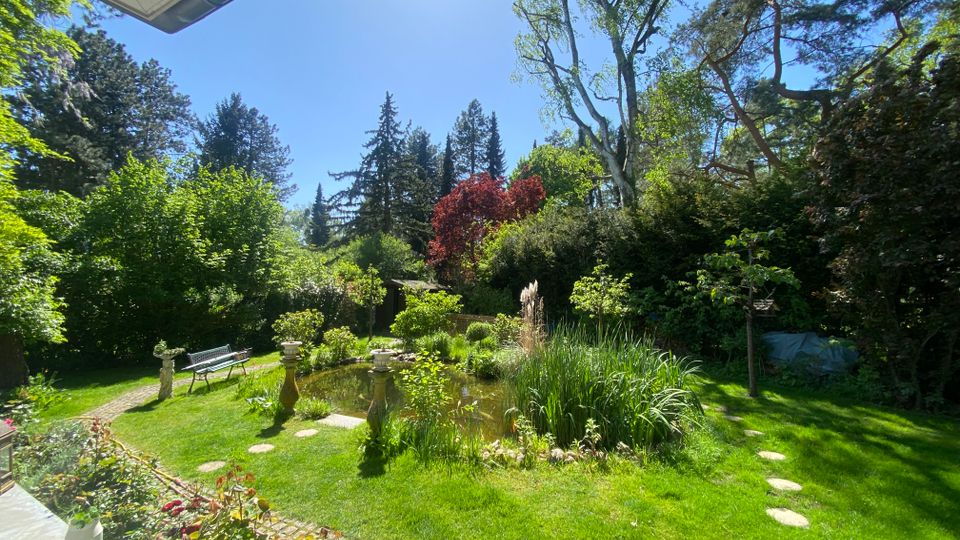Gepflegter Garten mit kleinem Teich, Schilf und Trittsteinen im Rasen, umgeben von dichten Sträuchern und hohen Bäumen. Links führen ein gepflasterter Weg und eine Sitzbank durch die Grünfläche.