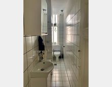 Schmales Badezimmer mit weißen Fliesen an Wänden und Boden. Im Vordergrund ein Waschbecken mit Spiegel, im Hintergrund eine Toilette unter einem schmalen Fenster mit Hängepflanze.