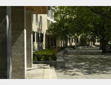 Außenansicht eines modernen Gebäudes mit heller Steinfassade und rechteckigen Fenstern, flankiert von einem Gehweg aus Steinplatten. Im Vordergrund befinden sich große Bäume, die Schatten auf den Weg und die begrünte Umgebung werfen.