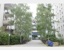 Wohnanlage mit mehreren modernen Mehrfamilienhäusern, flankiert von Bäumen und Grünflächen. In der Mitte ein gepflasterter Fußweg, daneben abgestellte Fahrräder und Balkone, die ins Bild ragen.