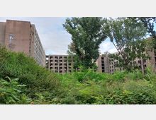 Abbildung eines verlassenen, mehrstöckigen Gebäudekomplexes mit zahlreichen zerbrochenen Fenstern, umgeben von dichtem, überwuchertem Grün. Im Vordergrund sind Büsche und Gräser, während größere Bäume den Blick teilweise verdecken.