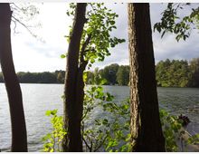 Ein See mit ruhigem Wasser, umrahmt von Bäumen im Vordergrund sowie dichtem Wald am gegenüberliegenden Ufer, bei teils bewölktem Himmel.
