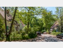 Straßenszene in einem ruhigen Wohngebiet mit Häusern im traditionellen Stil und roten Ziegeldächern, umgeben von vielen Bäumen und dichter Vegetation. Autos parken entlang einer schmalen Straße, die durch eine grüne, waldartige Umgebung führt.