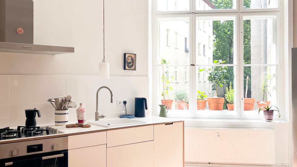 Bright, minimalist kitchen with white flat-front cabinets, built-in oven and stovetop, and a sink under a tall multi-pane window. Sunlight streams in over potted plants on the wide sill, with ornate ceiling molding and a red patterned rug on the wood floor.