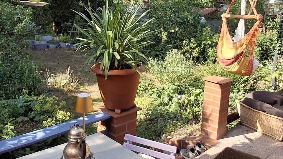 Überdachte Gartenterrasse mit transparentem Wellplatten-Dach und sichtbaren Stahlträgern, davor ein Tisch mit Geschirr und einer Schale Erdbeeren. Im Hintergrund ein verwilderter Garten mit Bäumen und Sträuchern, ein Hängesessel sowie mehrere Pflanzgefäße und niedrige Ziegelpfeiler.
