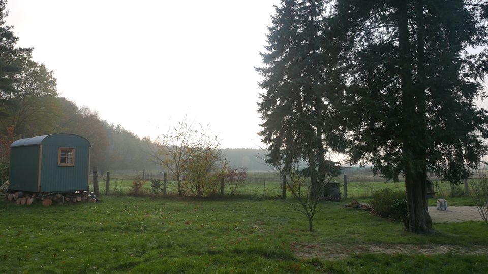 Ruhige Wiesenlandschaft mit Zaun und Bäumen, links ein kleiner grüner Bauwagen mit Fenster auf Holzstapeln. Im Vordergrund Rasen und ein gepflasterter Bereich, im Hintergrund Felder und eine bewaldete Hügelkette unter hellem Himmel.