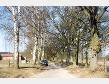 Ländlicher Weg mit Kopfsteinpflaster, gesäumt von hohen Laub- und Birkenbäumen. Auf der linken Seite stehen ein schwarzes Auto, Zäune, ein Pferd und eine Scheune, während sich im Hintergrund eine offene Feldlandschaft erstreckt.