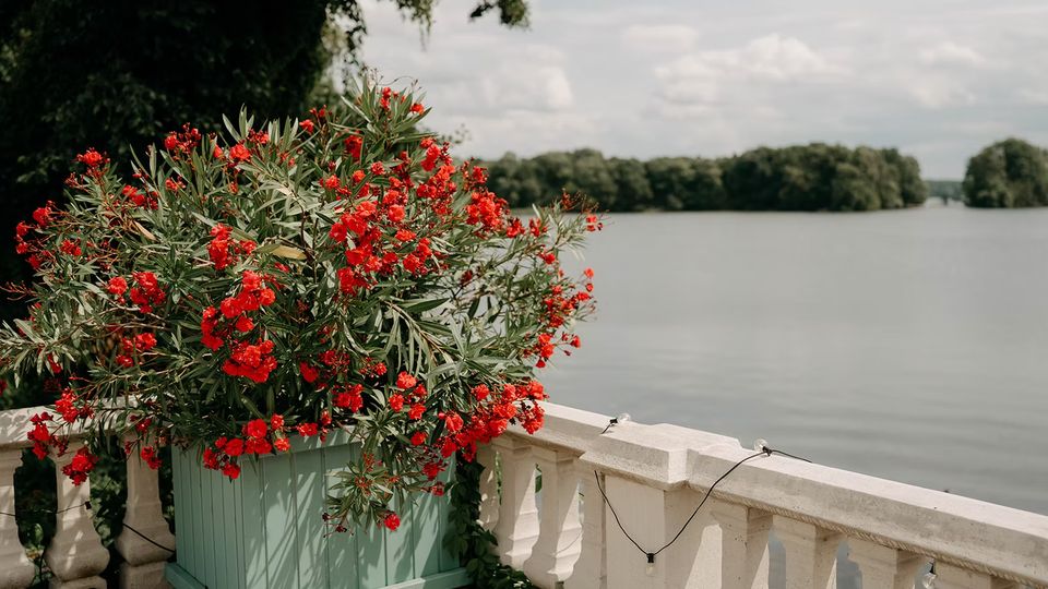 Terrasse oder Uferpromenade mit weißer Steinbalustrade und einer großen mintgrünen Pflanzkiste voller roter Blüten im Vordergrund. Dahinter erstreckt sich ein ruhiger See mit bewaldetem Ufer unter einem bewölkten Himmel.