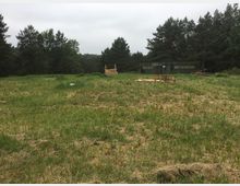 Weite, grasbewachsene Lichtung am Waldrand mit Kiefern und dichter Baumreihe im Hintergrund. Rechts steht eine lange, dunkle Wellblechhalle; auf der Wiese liegen verstreut Holzpaletten und Bretter.