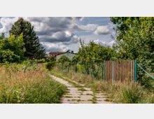 Ein schmaler, mit Betonplatten ausgelegter Weg führt durch ein verwildertes Gartengelände mit hohem Gras und dichten Bäumen. Im Hintergrund sind ein weißes Haus, Zäune und weitere Gebäude sichtbar, während sich am Himmel dunkle Wolken sammeln.