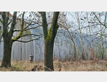 Langer, gewölbter Hallenbau aus Wellblech mit senkrechten Rippen, teilweise hinter mehreren laublosen Bäumen im Vordergrund sichtbar. Das Gebäude steht in einer brachliegenden, grasigen Fläche mit Sträuchern und Unterholz.