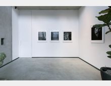 Minimalistischer Ausstellungsraum mit weißen Wänden, auf denen vier gerahmte Schwarz-Weiß-Fotografien hängen; der Boden ist aus grauem Beton, und im rechten Vordergrund steht eine große grüne Topfpflanze.