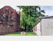Backstein-Gebäude im historischen Stil mit großen, bogenförmigen Fenstern links im Bild, daneben ein langes, schlichtes Gebäude mit verputzter Fassade. Im Hintergrund steht ein großer, grüner Baum, umgeben von einem gepflegten Rasen und einem kleinen Gehweg.