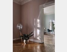 Minimalistisch eingerichteter Innenraum mit hölzernem Fischgrätparkett, einer Zimmerpflanze in einem weißen Topf und einem dreibeinigen Standventilator an einer pastellfarbenen Wand. Im Hintergrund sichtbar: ein angrenzender Raum mit hellblauer Wand, hoher Decke mit Stuckverzierungen und einem Schreibtischstuhl.