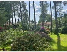 Gepflegter Garten mit Rasenfläche, dichtem Strauch- und Rhododendronbewuchs sowie hohen Kiefern, deren Schatten über die Wiese fallen. Im Hintergrund stehen kleine Häuser und ein Pavillon mit Ziegeldach zwischen den Bäumen.