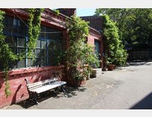 Ziegelgebäude mit großen, blau gerahmten Industrie-Fenstern, deren Fassade von rankenden Kletterpflanzen und Rosen bewachsen ist. Davor verläuft ein asphaltierter Hofweg mit einer weißen Bank, Pflanzkübeln und Bäumen im Hintergrund.