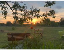 Eine parkähnliche Landschaft bei Sonnenuntergang mit einer Holzbank im Vordergrund, umgeben von Gras und Blumen. Ein Ast mit Blättern erstreckt sich im oberen Bereich des Bildes, während der Himmel in warmen Farben leuchtet.