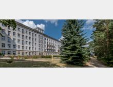 Großes, mehrstöckiges Gebäude mit heller Fassade und zahlreichen Fenstern, umgeben von einer Grünfläche mit Gehwegen, einem großen Nadelbaum im Vordergrund und weiteren Bäumen am rechten Bildrand. Der Himmel ist leicht bewölkt und blau.