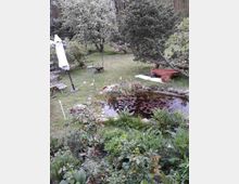 Ein Garten mit einem kleinen Teich im Vordergrund, bedeckt mit Seerosenblättern, umgeben von verschiedenen Pflanzen und Büschen. Im Hintergrund befinden sich größere Bäume, eine Wiese mit Gartenmöbeln und ein geschlossener Sonnenschirm.