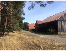 Dorfstraße mit umgebenden Bauernhäusern und Scheunen aus Holz und Ziegel, daneben eine trockene Wiese und Kiefern am Straßenrand. Der Himmel ist klar und sonnig.