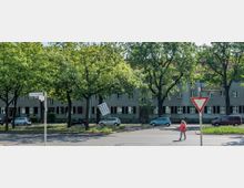 Straßenszene mit Wohnhäusern im Hintergrund, die von großen, schattenspendenden Bäumen gesäumt sind. Im Vordergrund eine Kreuzung mit Straßenschildern, einem Verkehrsschild und geparkten Autos; eine Person überquert die Straße.