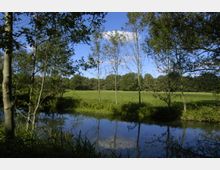 Grüne Wiese mit Bäumen im Hintergrund, durchbrochen von einem klaren Bach, der die Landschaft spiegelt; dichte Vegetation und Äste rahmen die Szene ein, unter blauem Himmel mit wenigen Wolken.