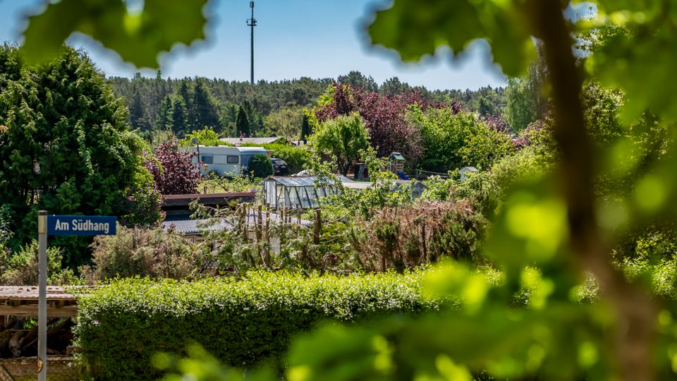 Blick über eine grüne Kleingarten- oder Wohnsiedlung mit vielen Bäumen und Sträuchern, Hecken, Gewächshaus und mehreren kleinen Gebäuden; im Vordergrund steht ein Straßenschild „Am Südhang“. Im Hintergrund sind ein bewaldeter Hügel und ein hoher Funkmast unter blauem Himmel zu sehen.