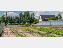 Ein ländlicher Garten mit Reihen von bepflanzten Beeten, einem Gewächshaus aus Glas und einem Wohnhaus mit dunkel gedecktem Dach im Hintergrund. Im Hintergrund sind Bäume und ein Schornstein sichtbar.