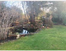 Ein Garten mit einem kleinen Teich, umgeben von Bäumen, Sträuchern und vereinzelt dekorativen Elementen wie einer Steinfigur. Im Hintergrund stehen eine hohe Laterne und ein Baumhaus, und der Boden ist teils mit Rasen und teils mit Laub bedeckt.