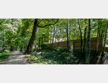 Ein bewaldeter Weg führt entlang einer alten Ziegelmauer mit einem dekorativen Torbogen in der Mitte. Die Umgebung ist dicht mit hohen Bäumen bewachsen, durch die Sonnenlicht auf den Boden fällt.